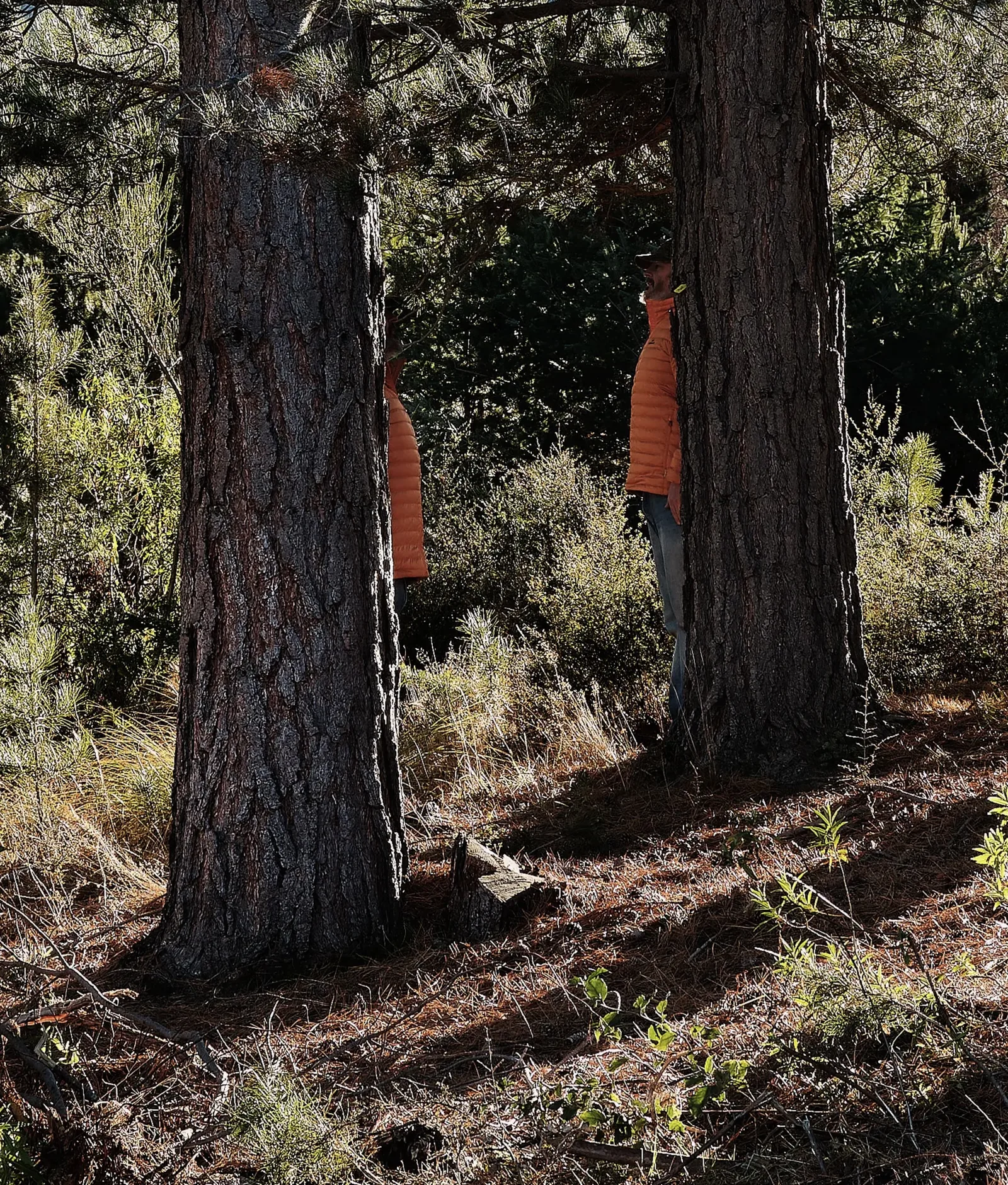 Steve Carr
Many Steves, 2025 (detail)
pigment inkjet print; diptych