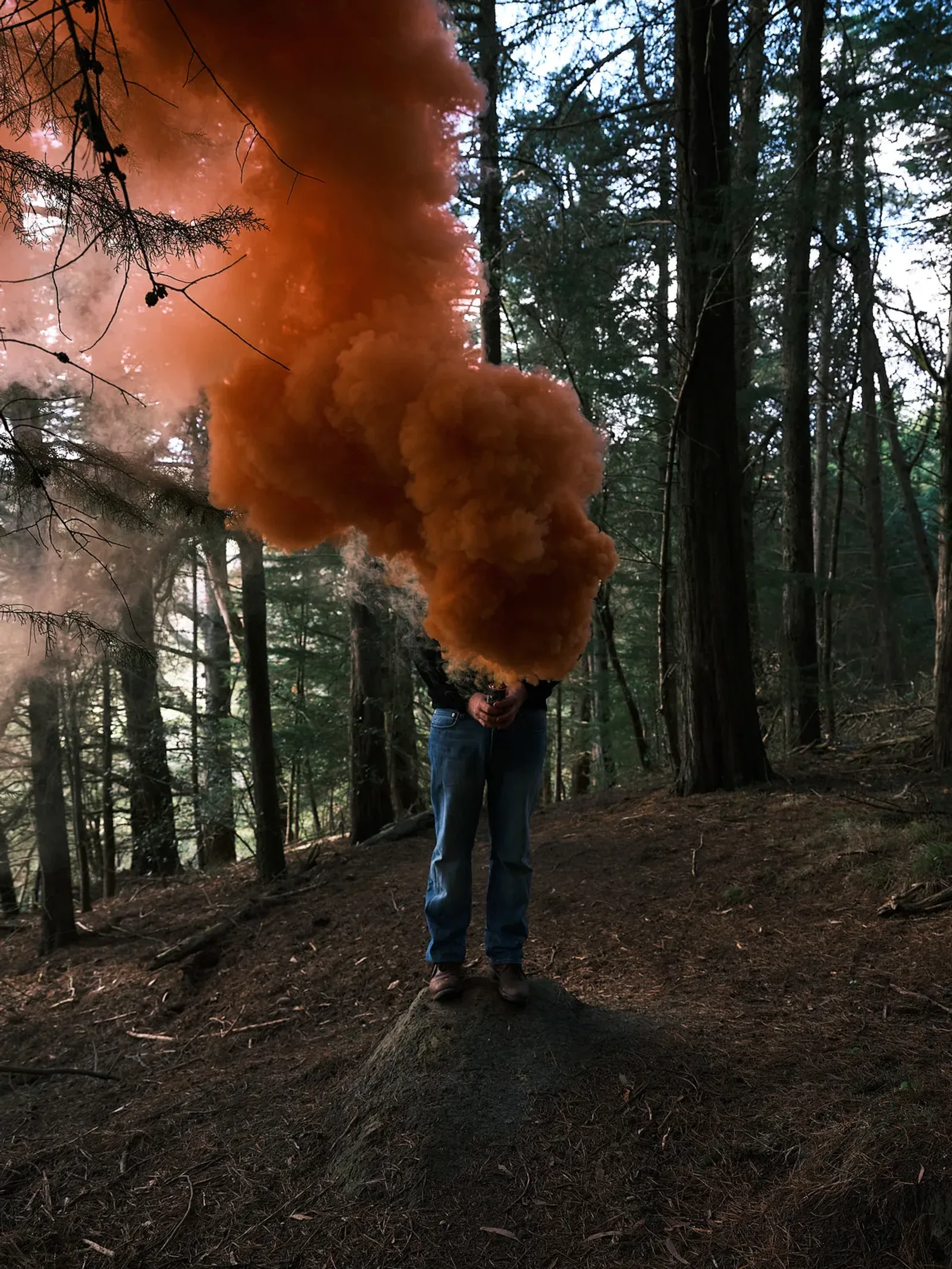 Steve Carr
Smoke Clouds 5, 2025
pigment inkjet print