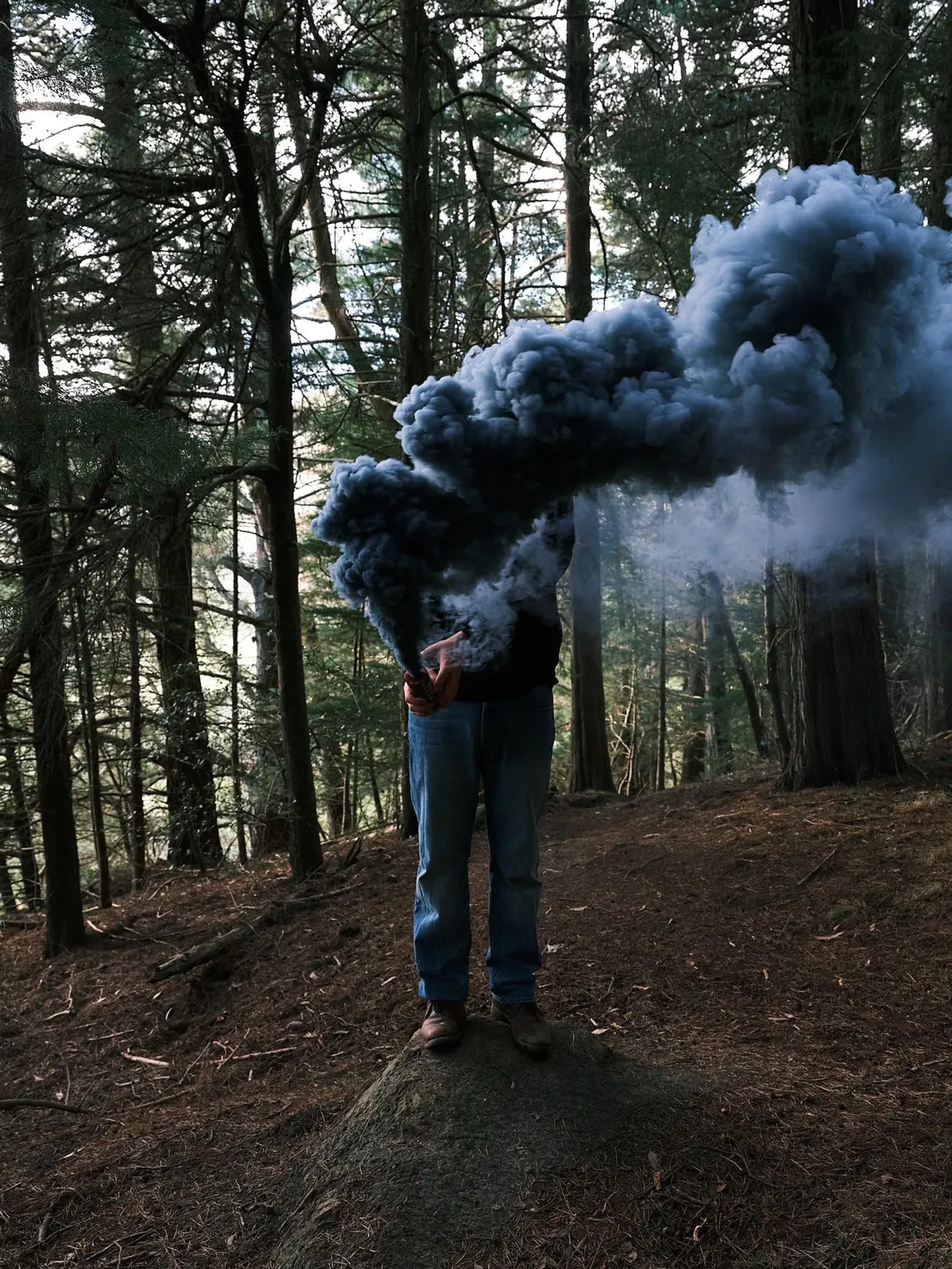 Steve Carr
Smoke Clouds 1, 2025
pigment inkjet print