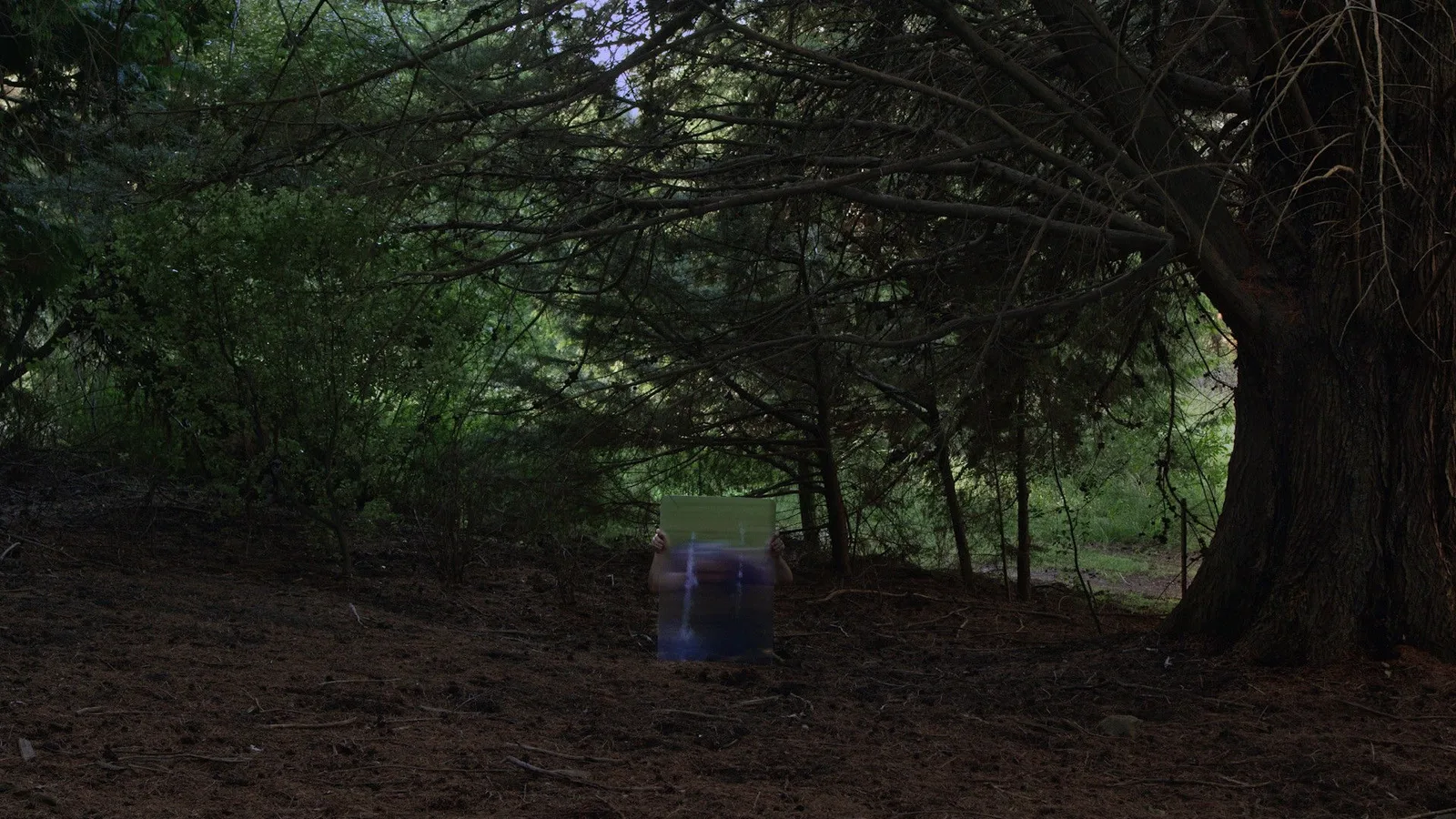 Steve Carr
Invisible Man, 2025 (still)
4k transferred to digital file
duration 12mins 35secs