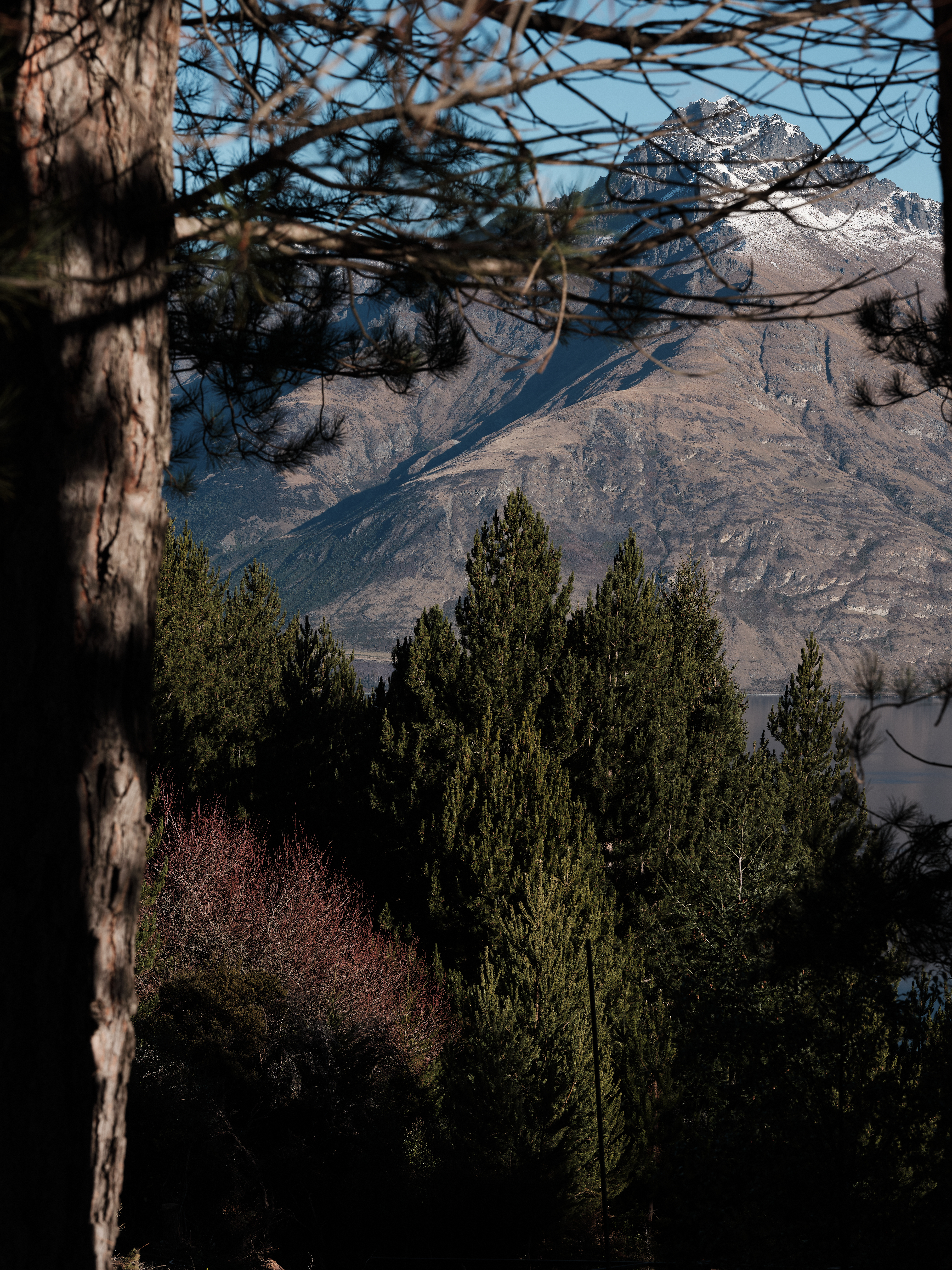 240708 Moke Valley 106